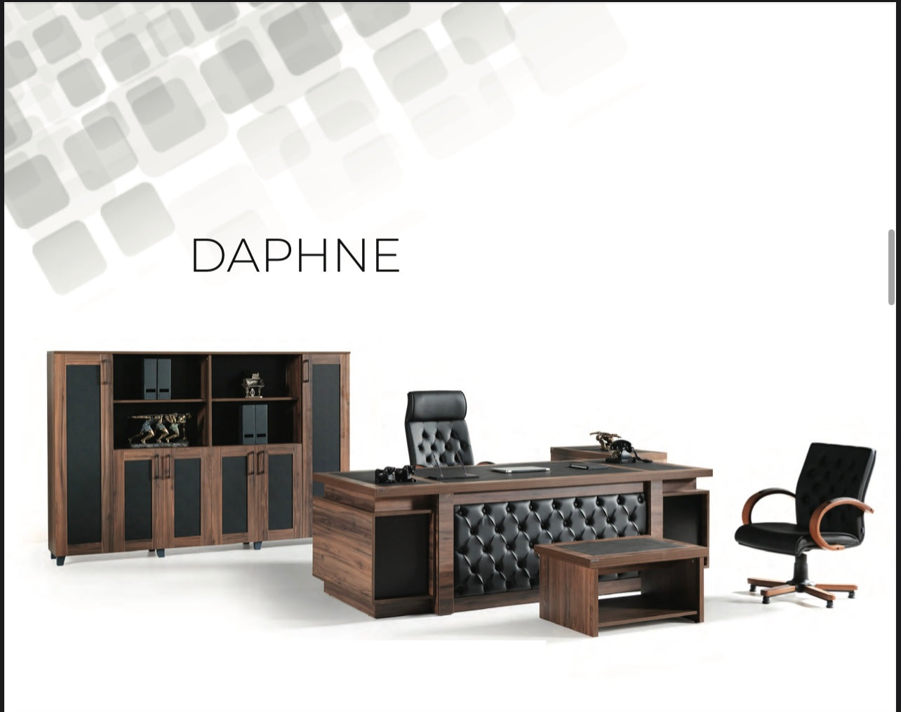DEFNE – Bureau de direction